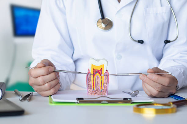 Best Emergency Dentist for Lost Fillings or Crowns in Pasatiempo, CA